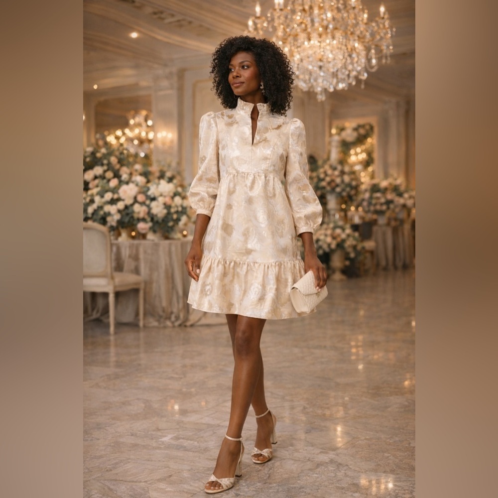 NWT Tuckernuck Palmerston Champagne Fil Coupé Dress XS Wedding Guest Party